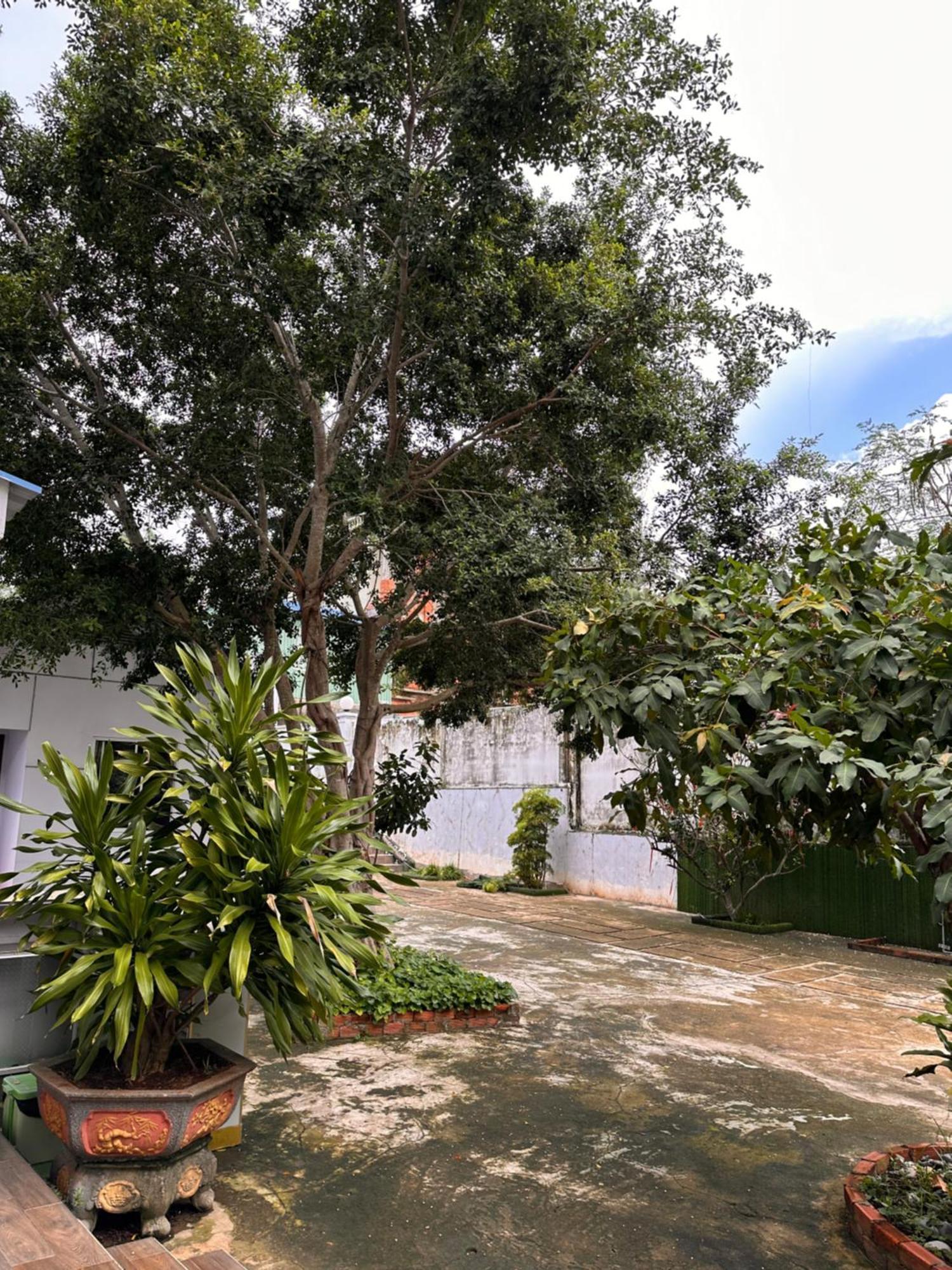 Bungalow Hotel Chi Khu Co Ong Ngoại thất bức ảnh