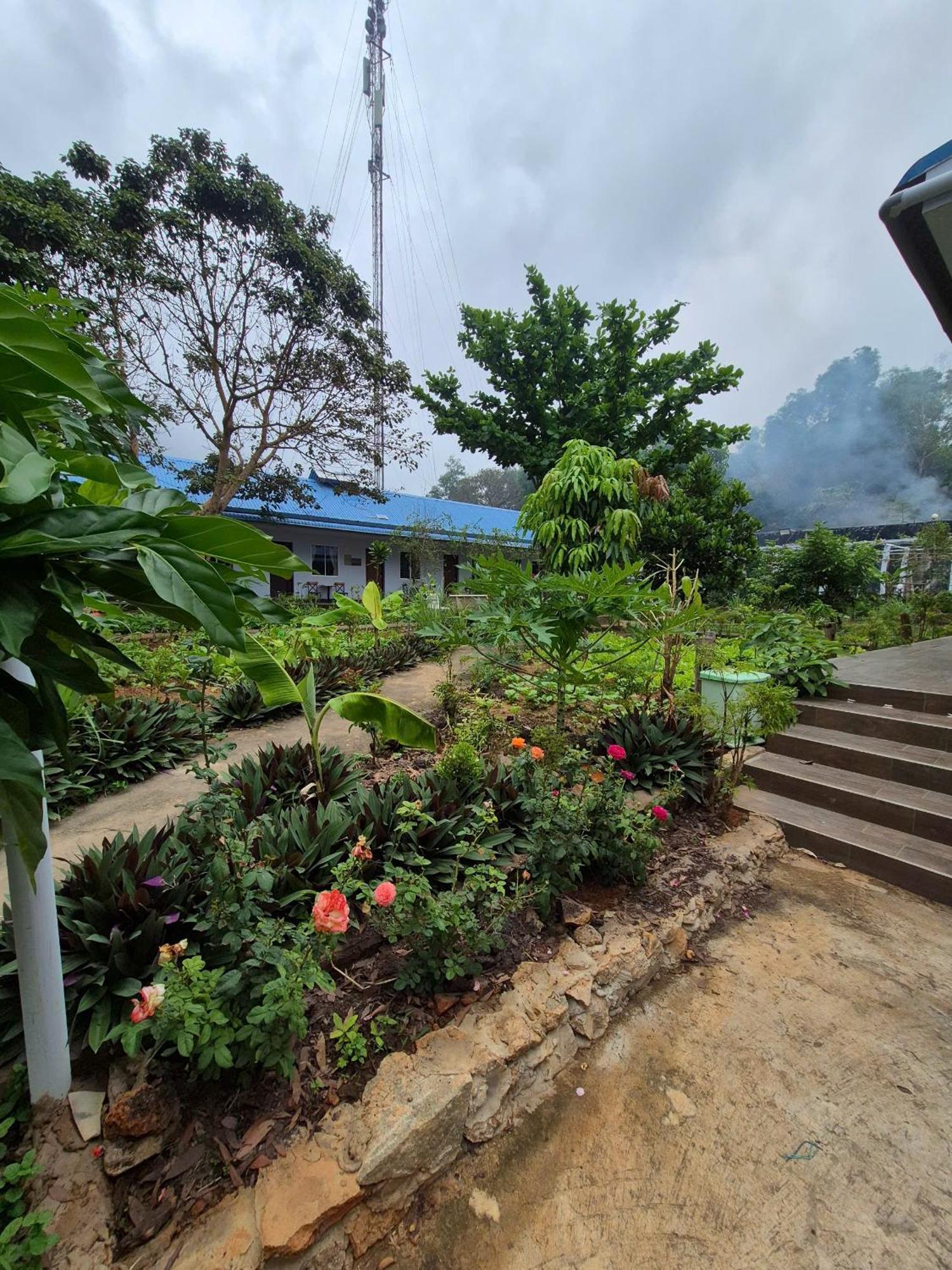 Bungalow Hotel Chi Khu Co Ong Ngoại thất bức ảnh