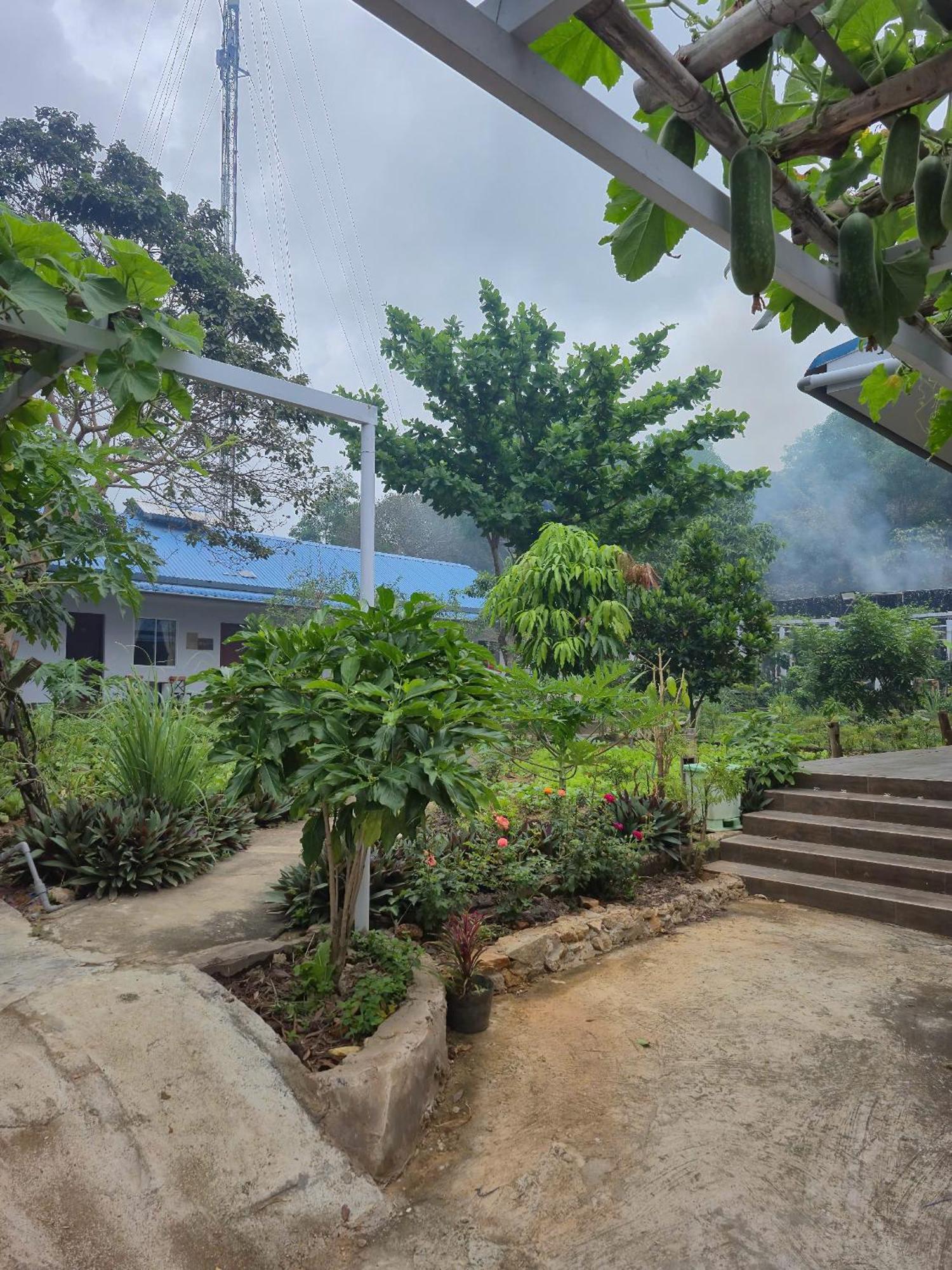 Bungalow Hotel Chi Khu Co Ong Ngoại thất bức ảnh