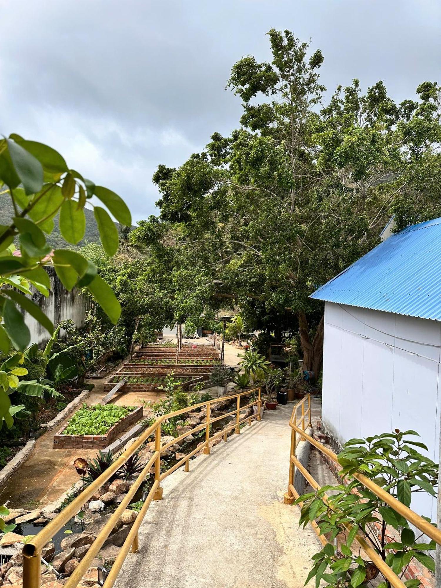 Bungalow Hotel Chi Khu Co Ong Ngoại thất bức ảnh